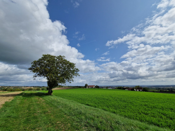 Vue vers Bransat
