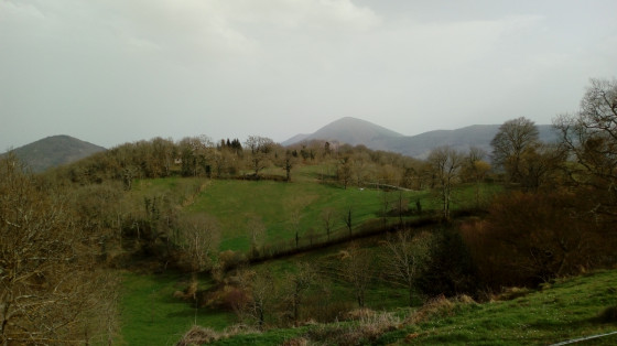 Vue vers l'est apr&egrave;s Plandevielle