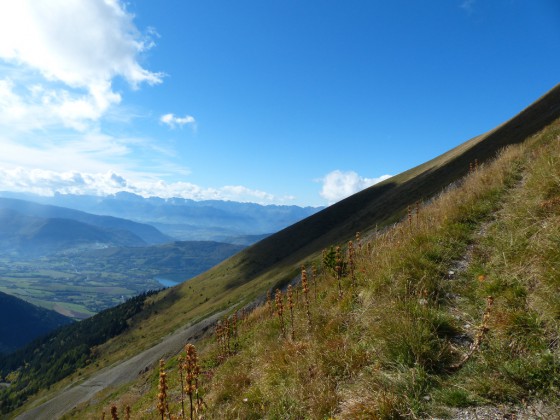 Vue vers l\'ouest du sentier du Diable