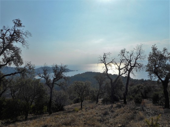 Vue vers la Fossette