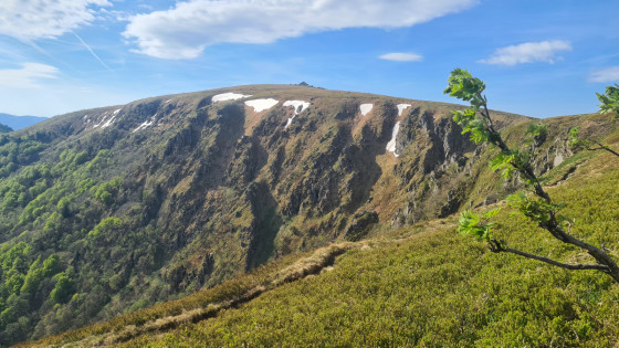 Vue vers le Hohneck