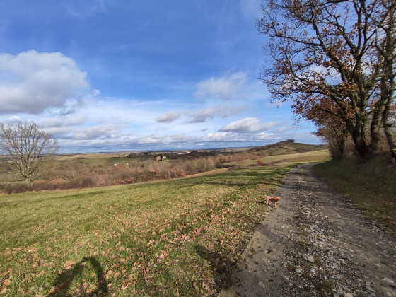 Vue vers le nord-est