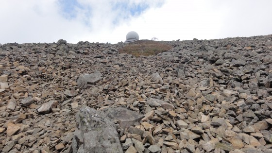Vue vers le sommet du Grand Ballon