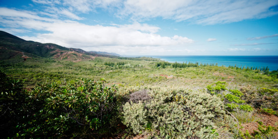 Vue vers le sud de Plum