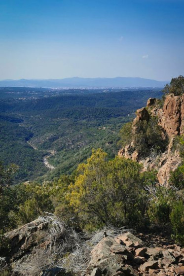Vue vers le sud depuis le Pic du Perthus