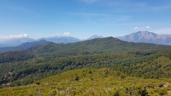 Vue vers le sud