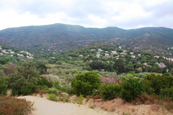 Vue vers les Maures.