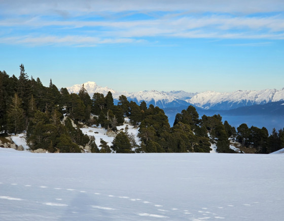 Vue vers Mont Blanc