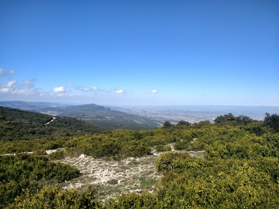 Vue