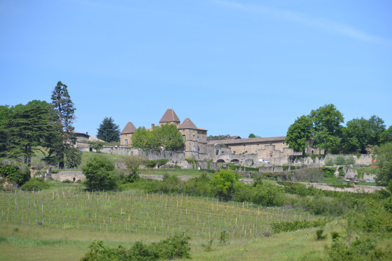 Vue