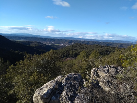 vue