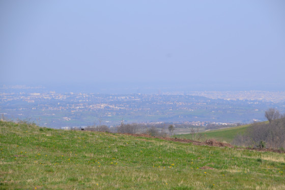 Vue