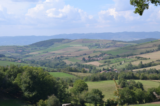 Vue