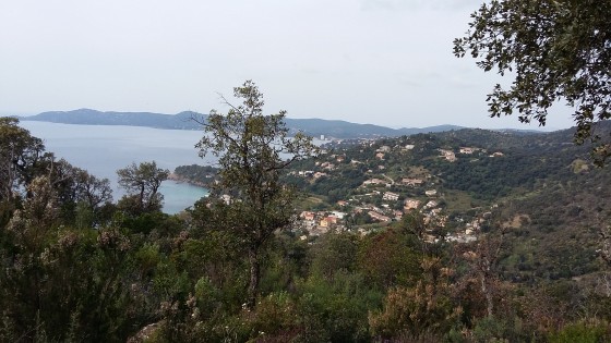 Point de vue