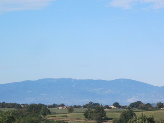 Vue