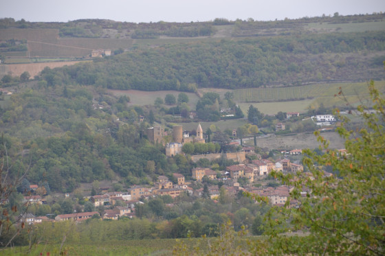 Vue
