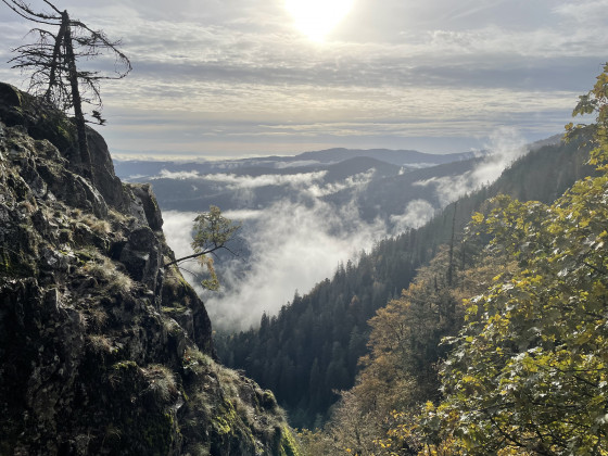 Vue