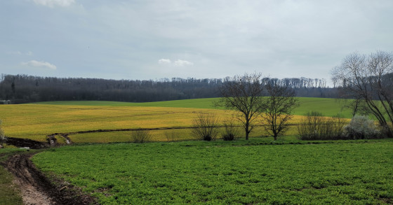 Vue