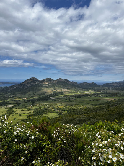 Vue