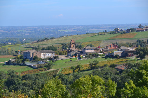 Vue