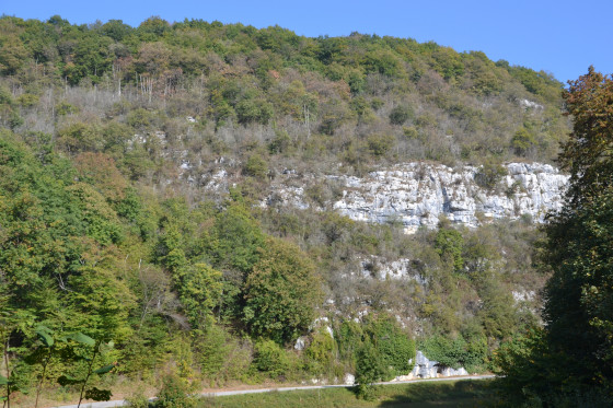 Vue