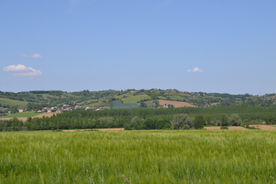 Vue