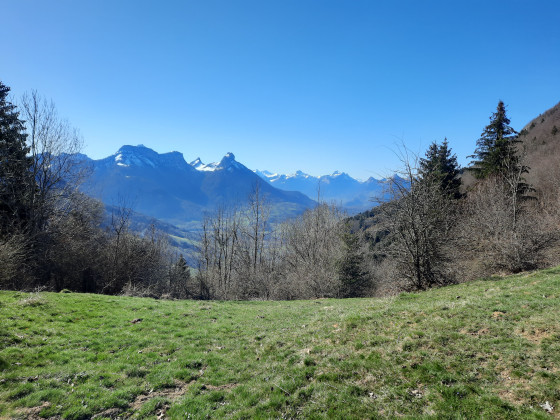 Vuer sur les Bauges