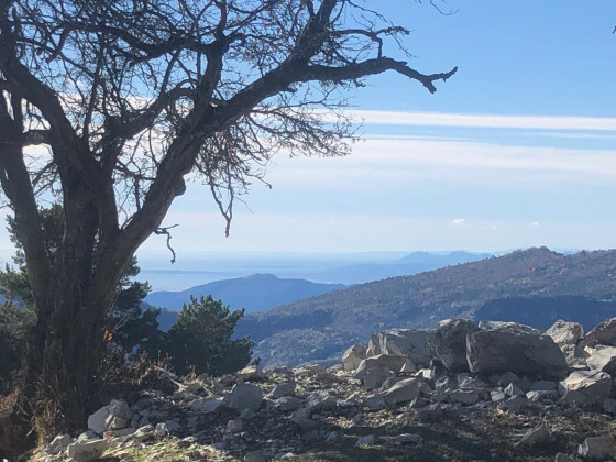Vues de la Cime de Linière