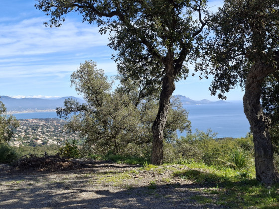 Vues des Dolmens :  l'Esterel et les Alpes
