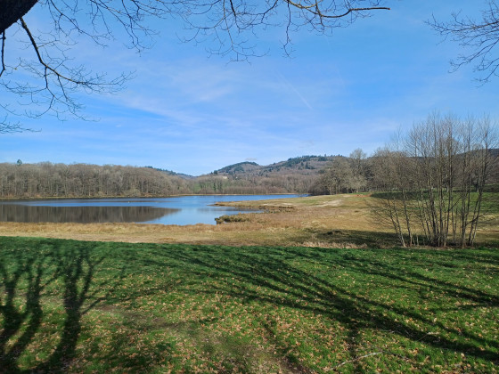 Vues panoramiques