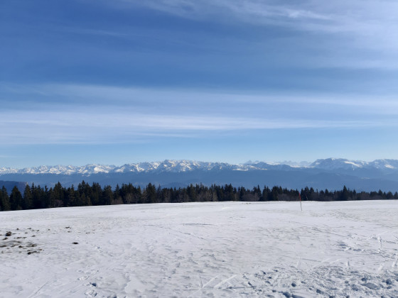 Vues sur les Alpes