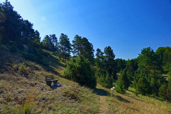 Wacholderwanderweg - Tour durch die Oberpfälzer Toskana - Wanderung
