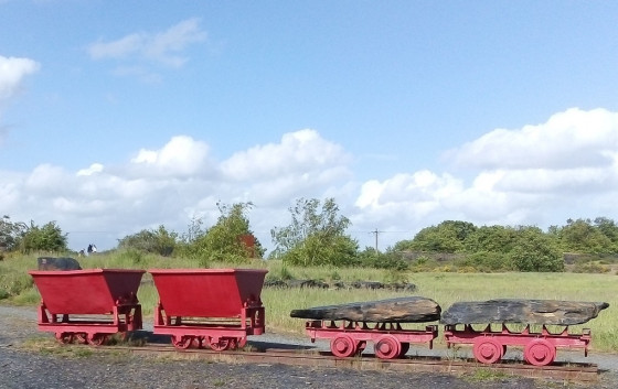 Wagonnets et crapauds