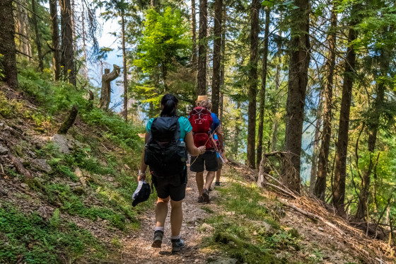 Waldpfad