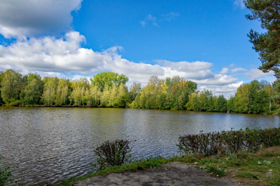 Waldsee