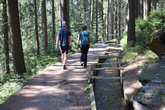 Randonnée au Röhrgraben