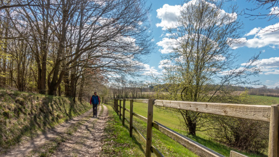 Wanderweg am Waldrand