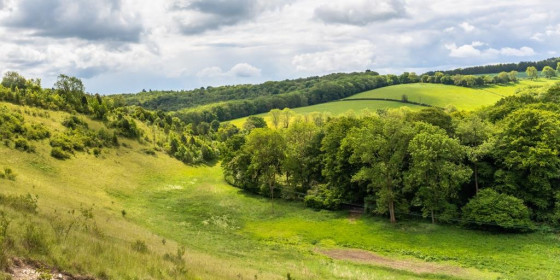Warburg Nature Reserve