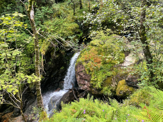 Cascade