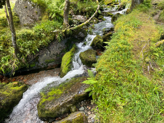 Cascade