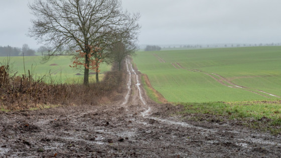 Weg nach Kulpin