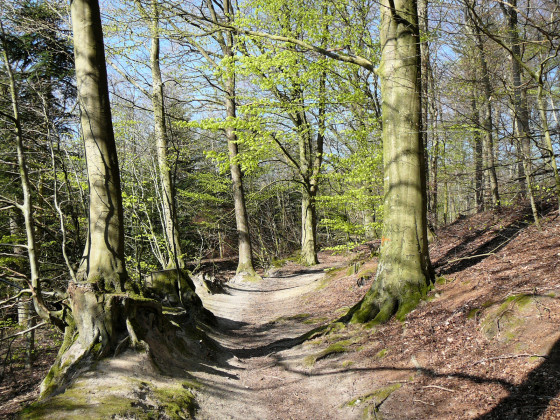 Chemin vers l\'Aschberg