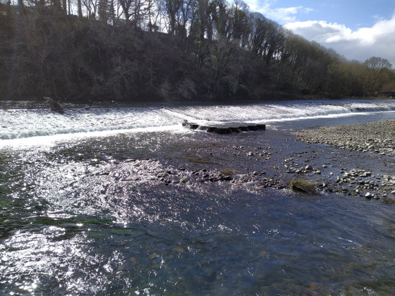 Weir