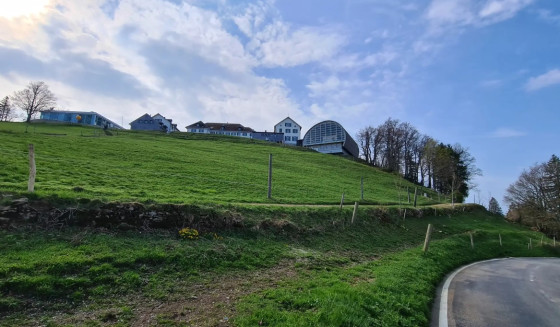 Weissenstein