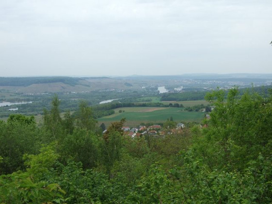 Weitblick