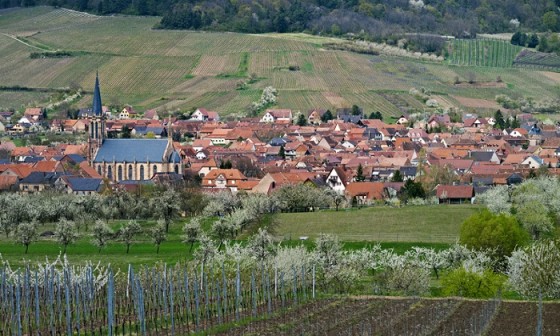 Westhoffen