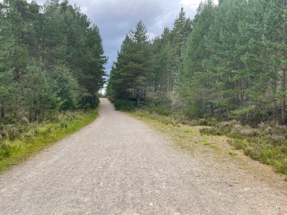 Large chemin de gravier