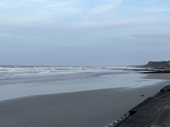 Wimereux