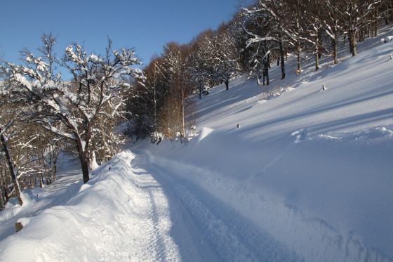 Winterwanderweg