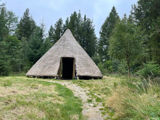 Cabane en bois
